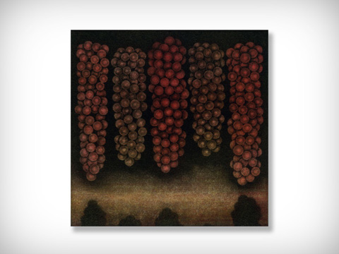 Five bunches of redgrapes